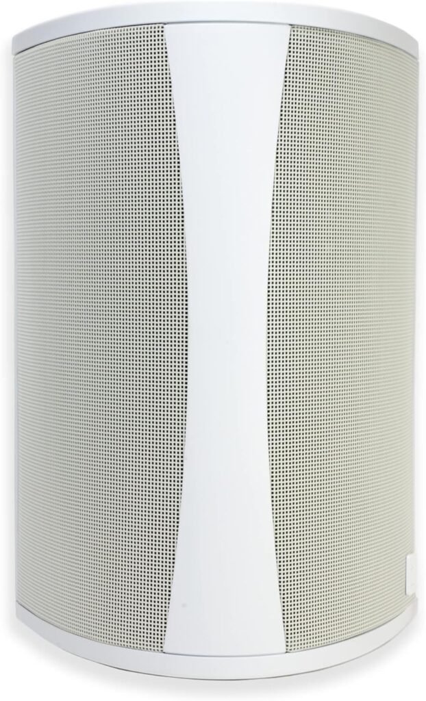 Best Outdoor Speakers 204 - Definitive Technology AW6500 OutDoor Speakers