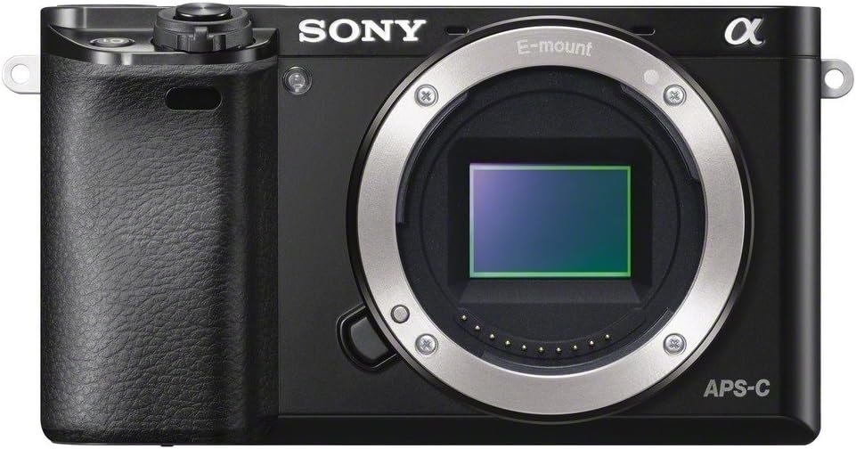 Cheap Digital Camera: Sony Alpha a600